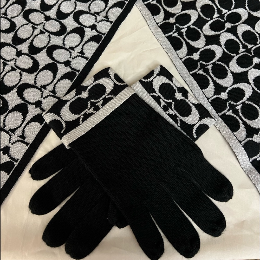 Coach Women's Signature "C" Knit Tech Gloves Set F86019 F86026 Scarf/Wrap